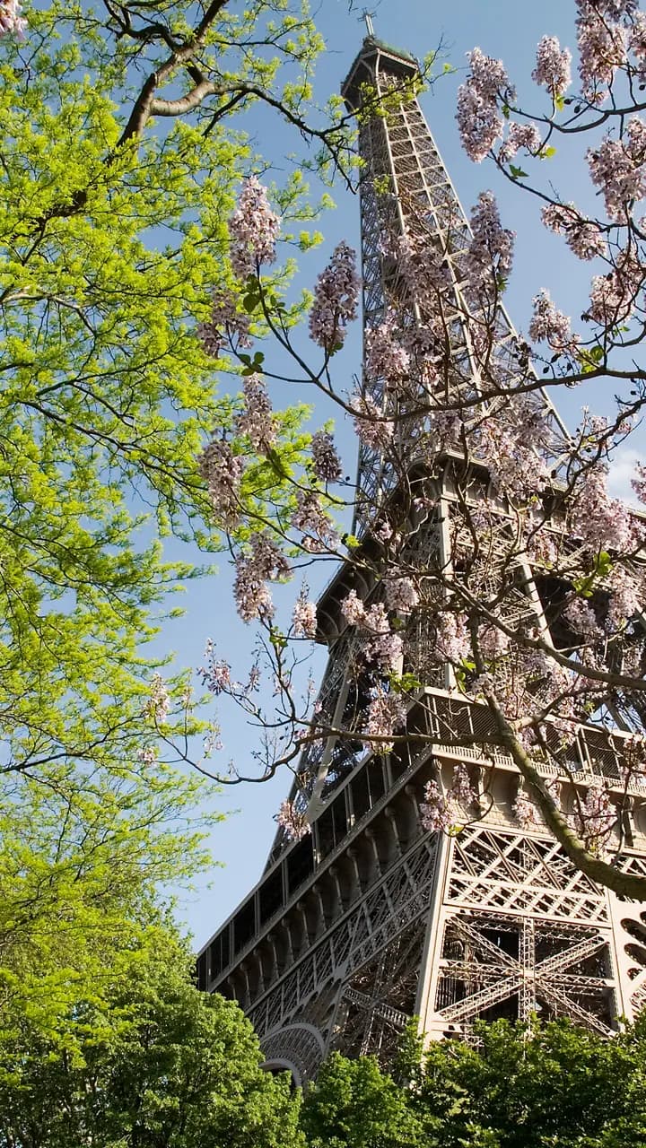 Paris - The Eiffel Tower in spring - 2307
